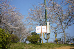 2012040805.jpg