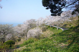 2012040806.jpg