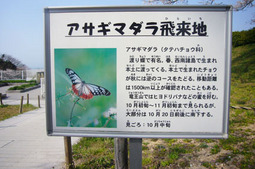 2012040807.jpg