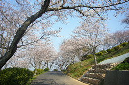 2012040810.jpg