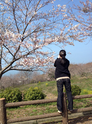 sakura2013032_03.JPG