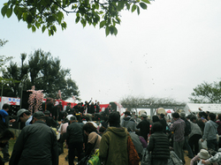 sakura_2013_5.jpg